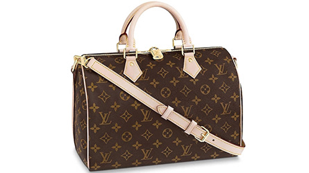 Louis Vuitton - SPEEDY 30 MONOGRAM Bags